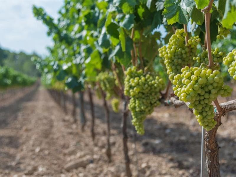 Domaine Bohr