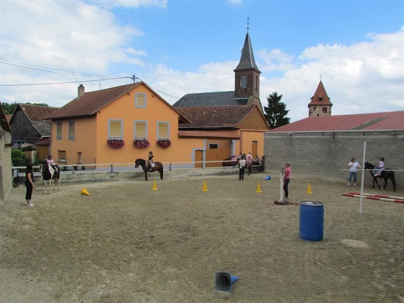 Ferme équestre de Wintzenheim-Kochersberg