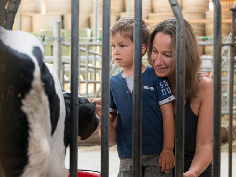 Ferme Saint Ulrich : du réveil des vaches au petit-déjeuner
