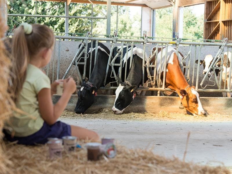 Ferme Saint Ulrich : du réveil des vaches au petit-déjeuner