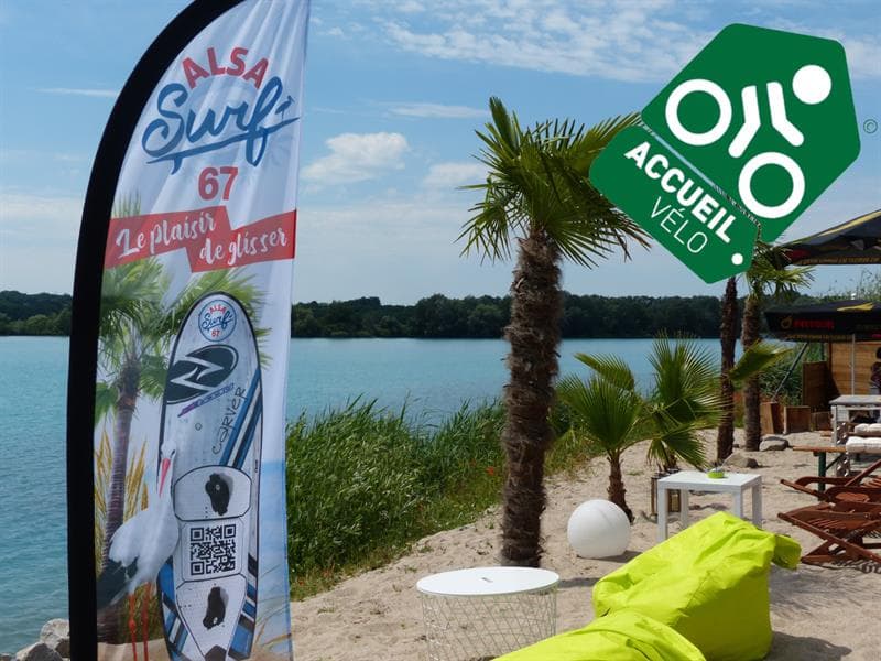 Alsa Surf