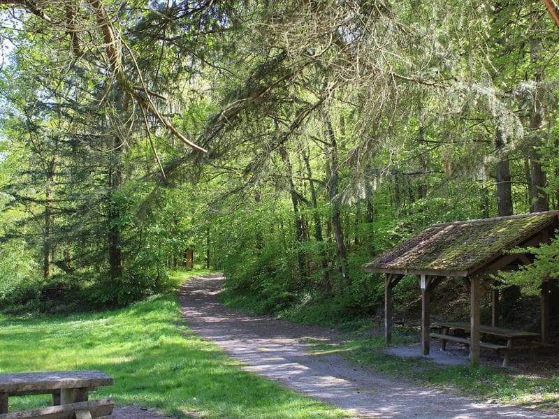 Aire de pique-nique - Salmbacher Passage