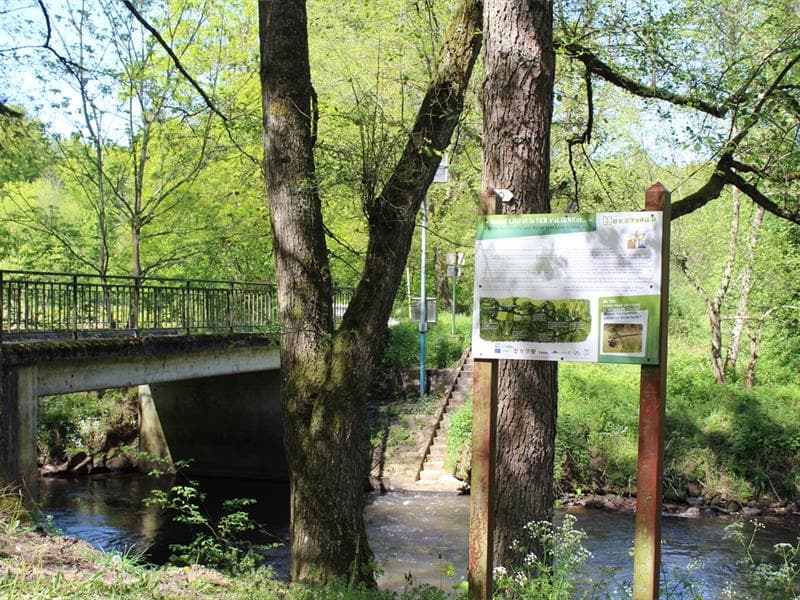 Aire de pique-nique - Salmbacher Passage