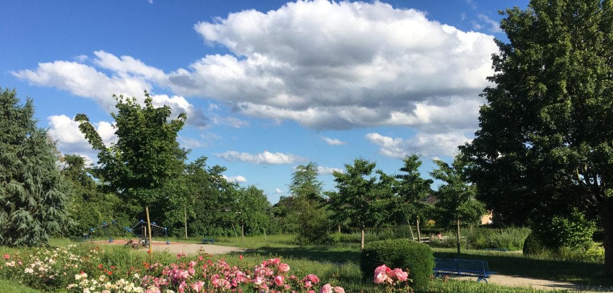 Arboretum de Brumath