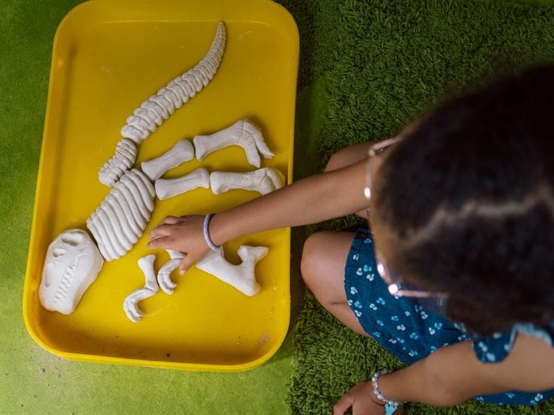 Mission Fouilles : les dinosaures disparus