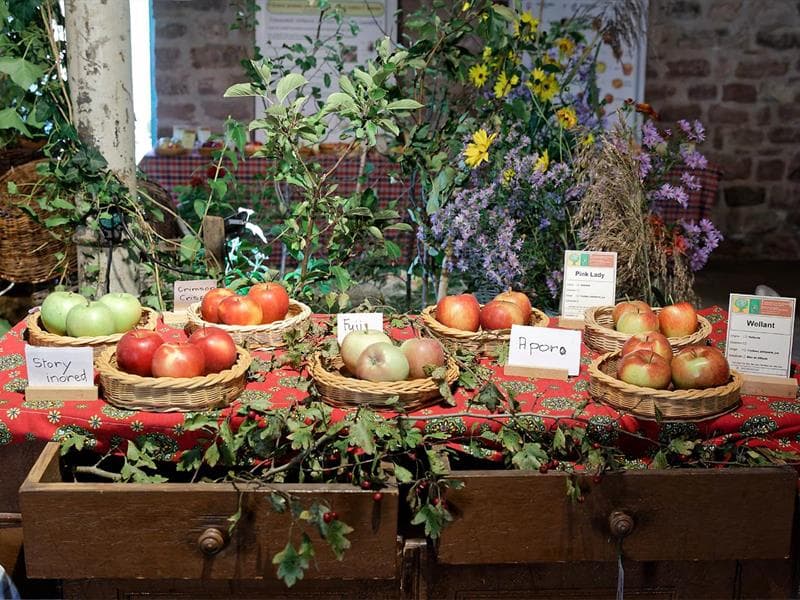 Au nom de la pomme
