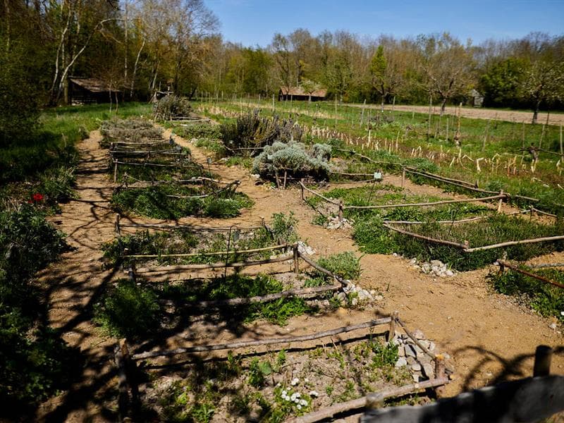 Rendez-vous nature : À la découverte de la nature
