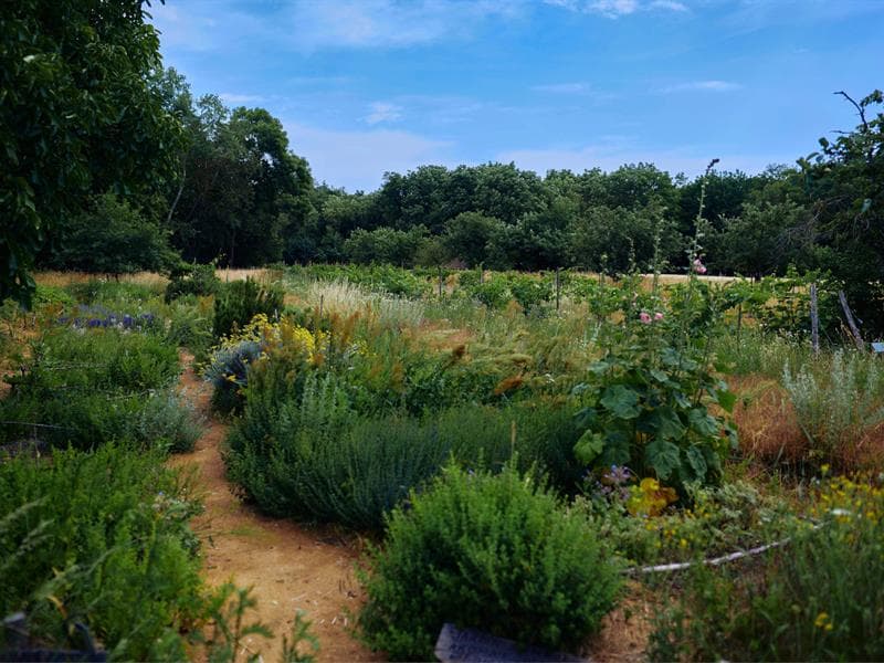 Rendez-vous nature : À la découverte de la nature