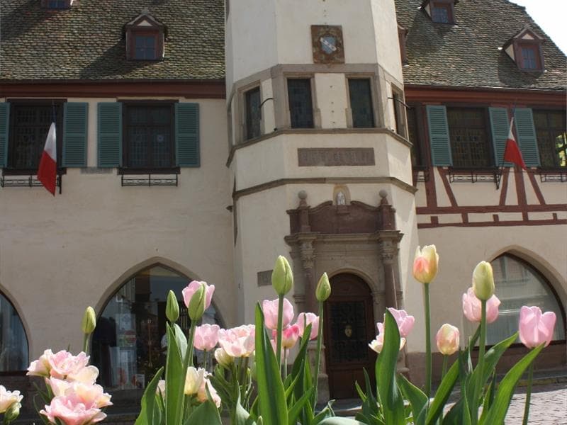 Visite guidée de l'Hôtel de Ville, Laube et Jacquemart - JEP