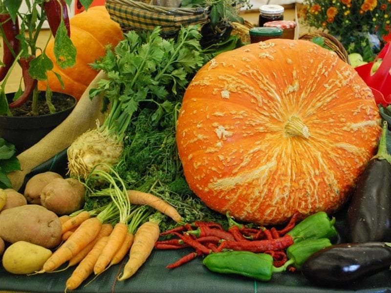 Exposition de fruits et légumes