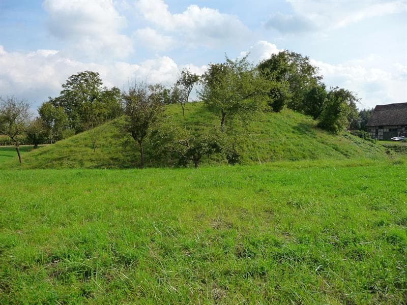 Motte castrale