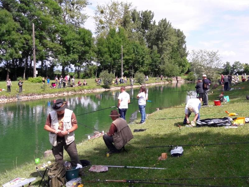 Pêche à la truite