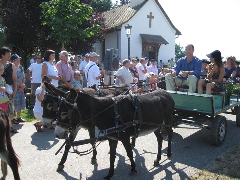 Grand'messe suivie de la bénédiction des chevaux et cavaliers