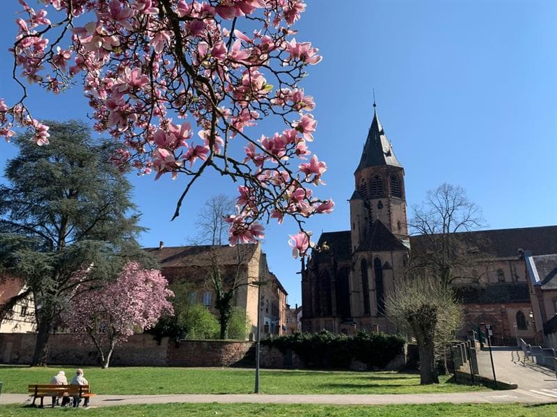 Eglise Saint Georges
