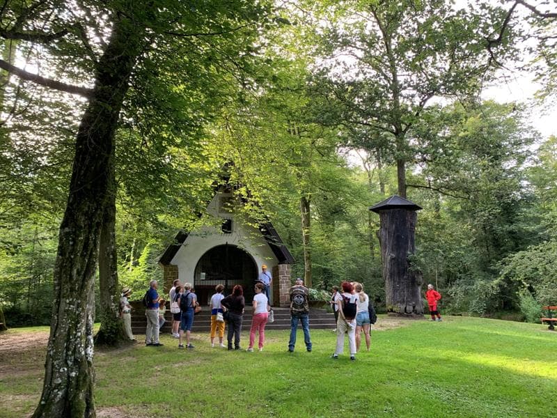 Le site du Gros-Chêne