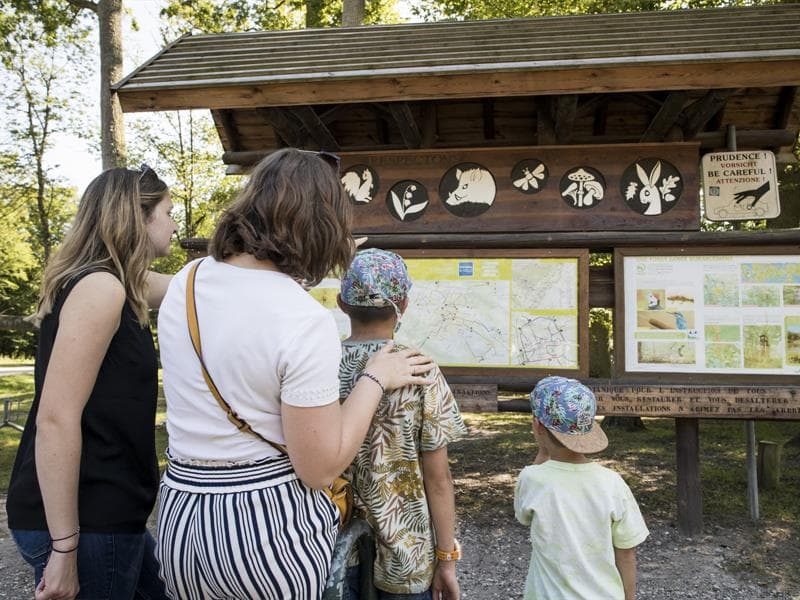 La Forêt d'Exception® de Haguenau