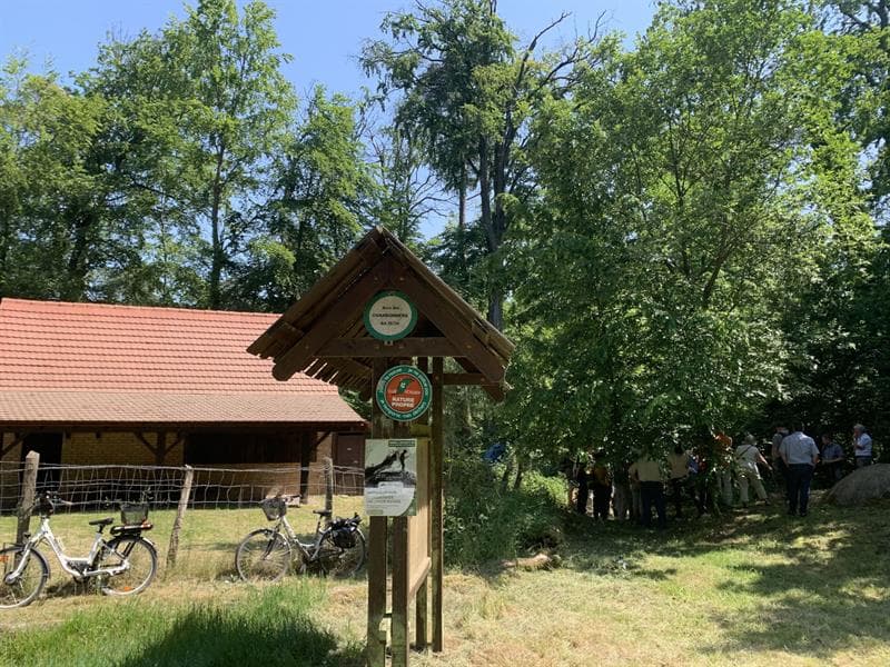L'aire des charbonniers