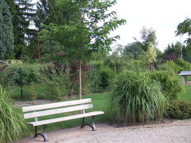 Aire de jeux
