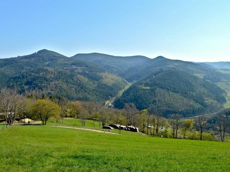 Belvédère du col de Fréland