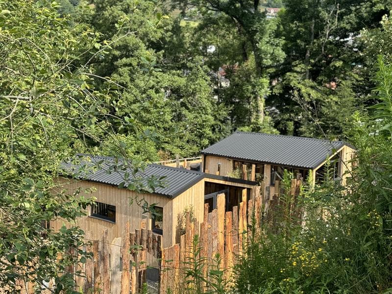 Le domaine des constellations - Binôme Aigle
