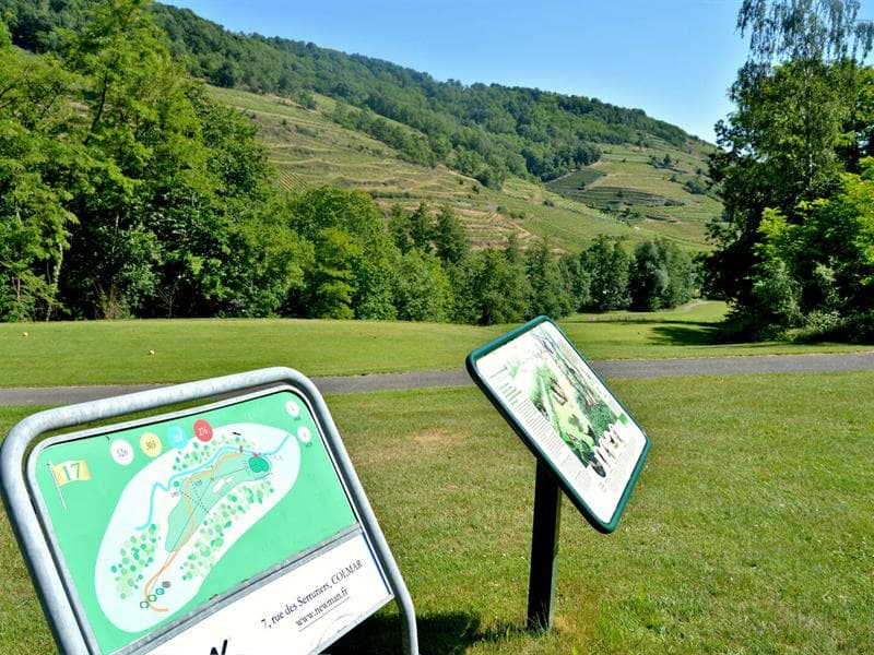Découverte du golf et du métier d'enseignant de golf