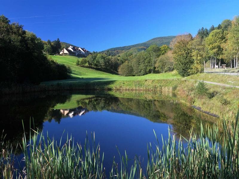 Découvrir le métier de greenkeeper