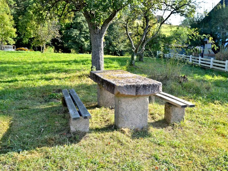 Aire de pique-nique - Remomont