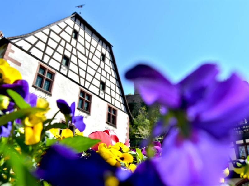 Badhus