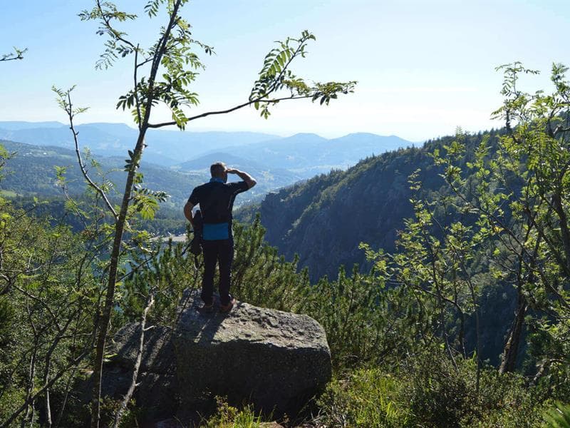 Terre de Sylphe