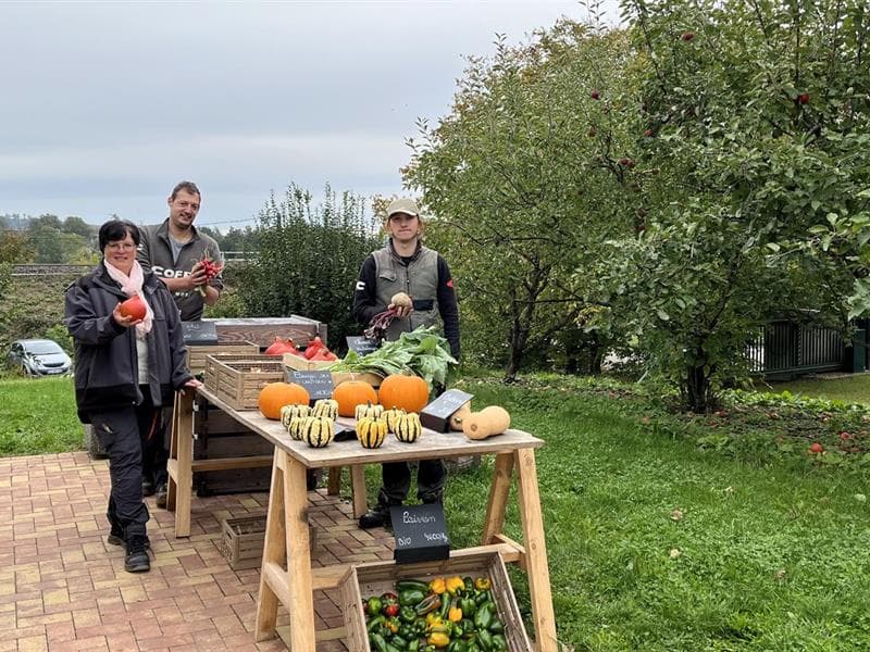 Les Ateliers du Herrenfeld - ESAT d'Ingwiller