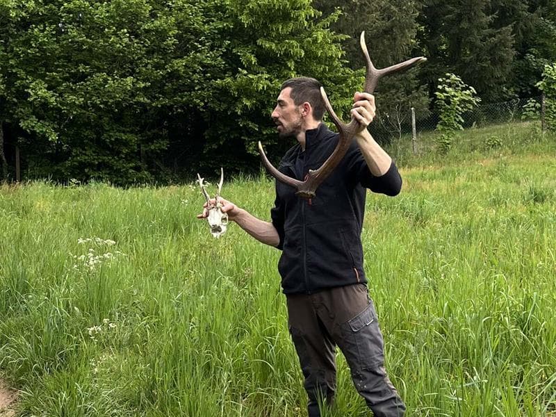 Balade nature : les secrets de la forêt autour de La Petite Pierre