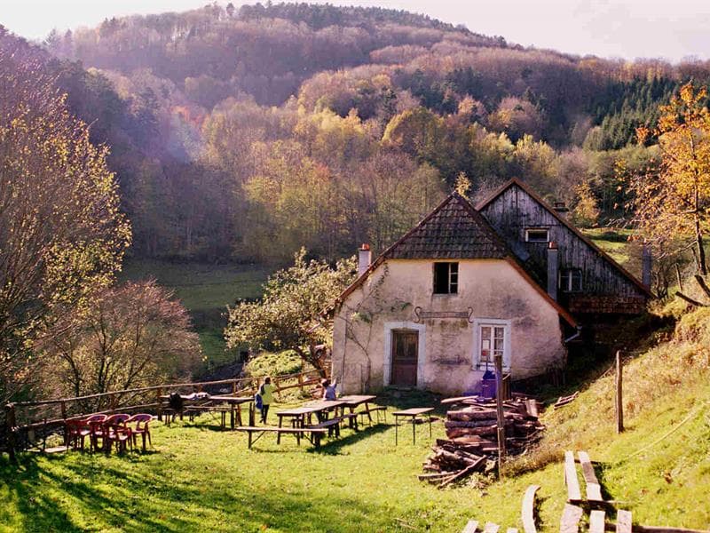 Ferme Pédagogique de l'Entzenbach