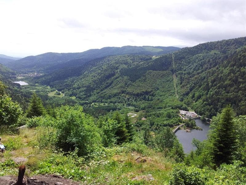 Lac d'Alfeld