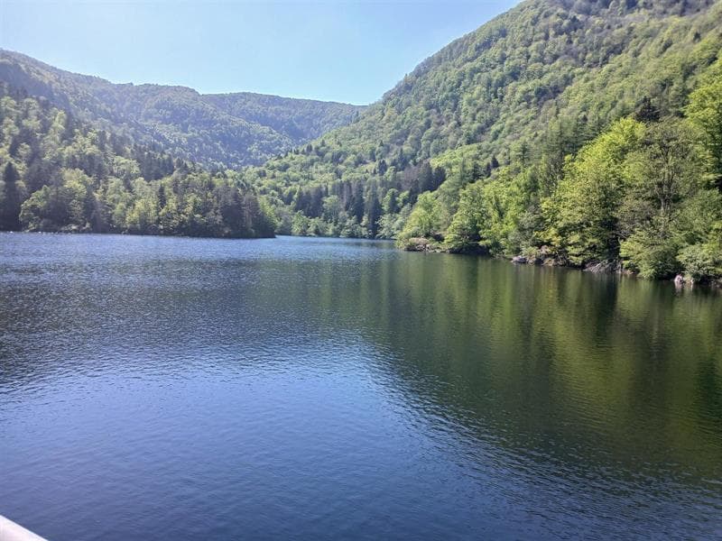 Lac d'Alfeld