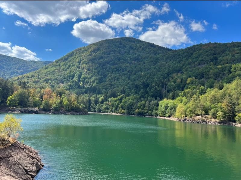 Lac d'Alfeld