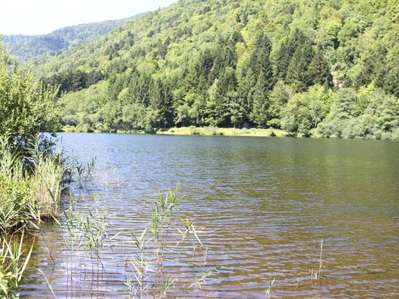 Pêche au lac de Sewen