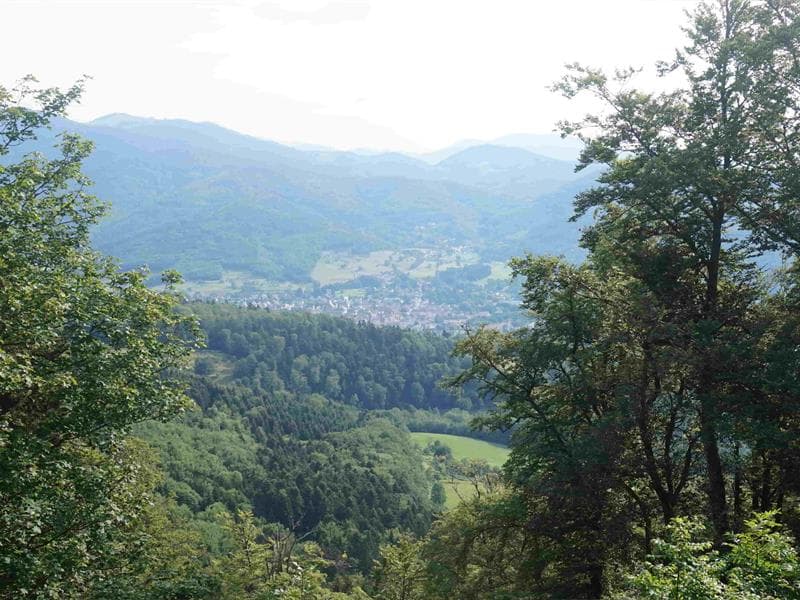 L'observatoire du Sudel