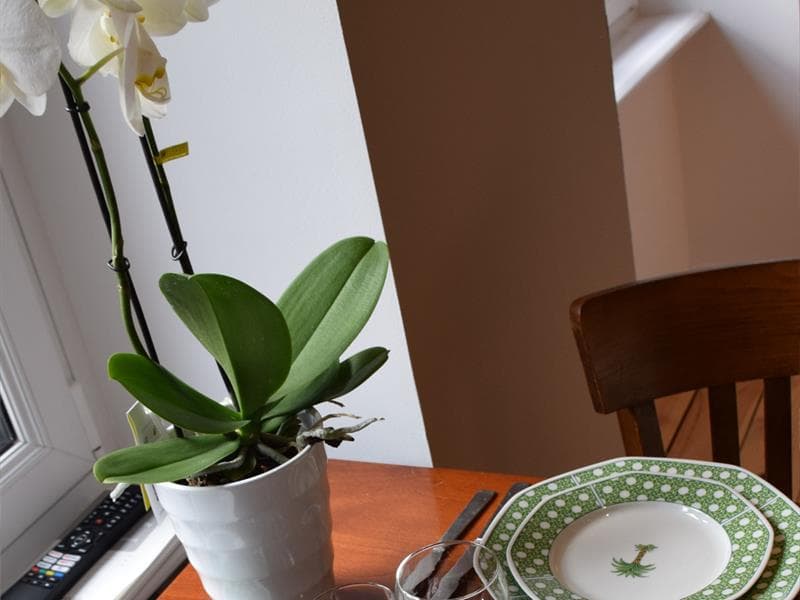 Meublé de l'Hostellerie Alsacienne - L'Orchidée