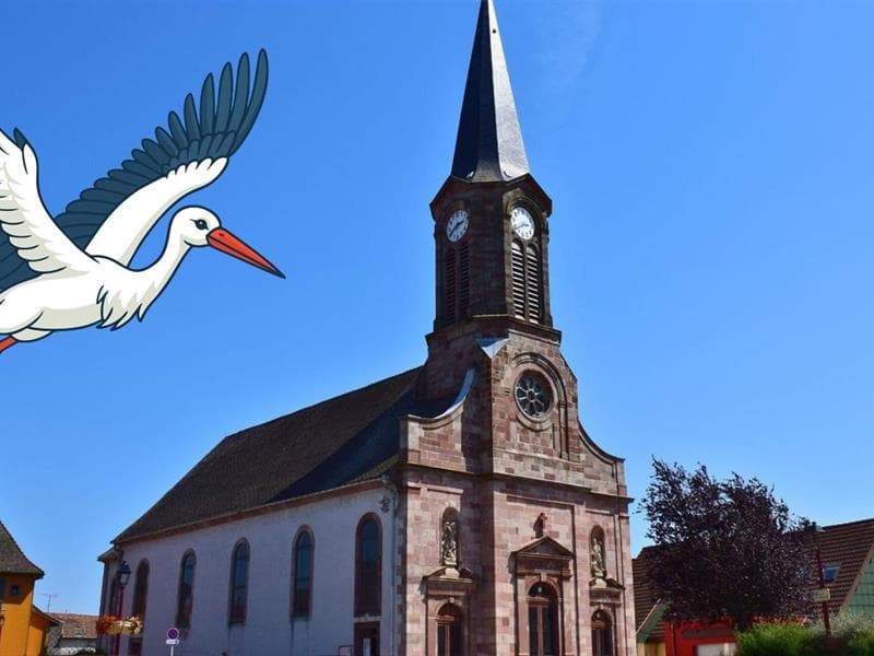 Chasse aux cigognes