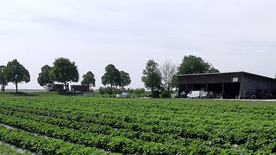 Ferme Heckmann Pierette