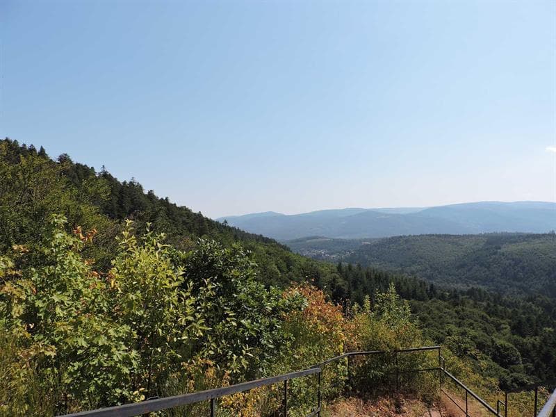 Vue panoramique depuis les Ruines du Château du Hohenstein - Oberhaslach