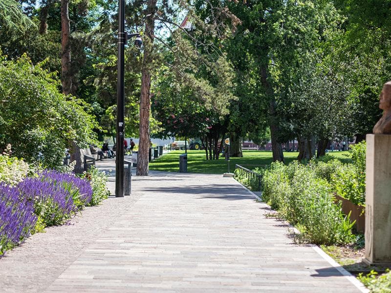 Parc Steinbach