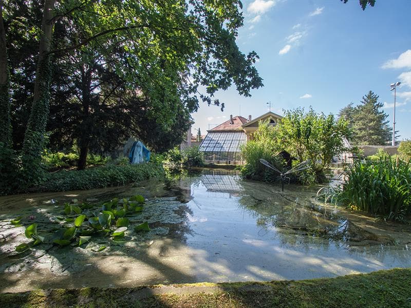 Parc de la Commanderie