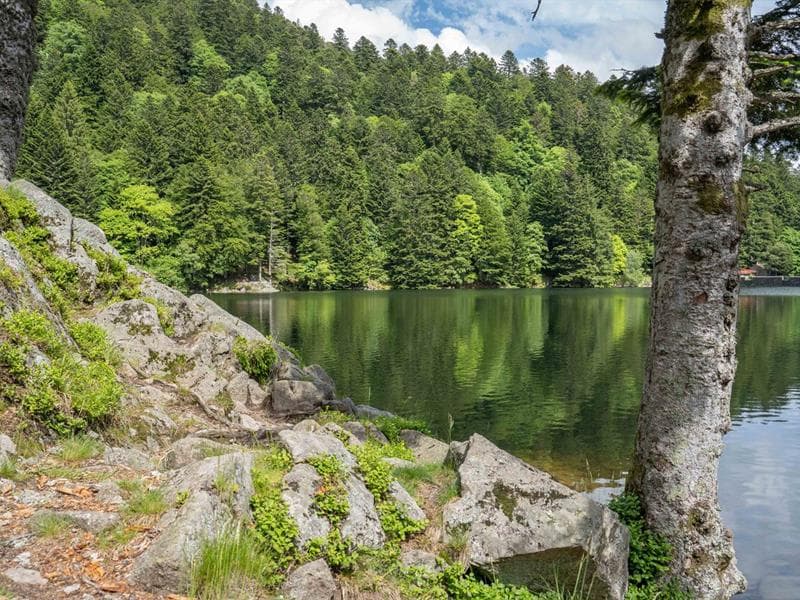 Lac de l'Altenweiher