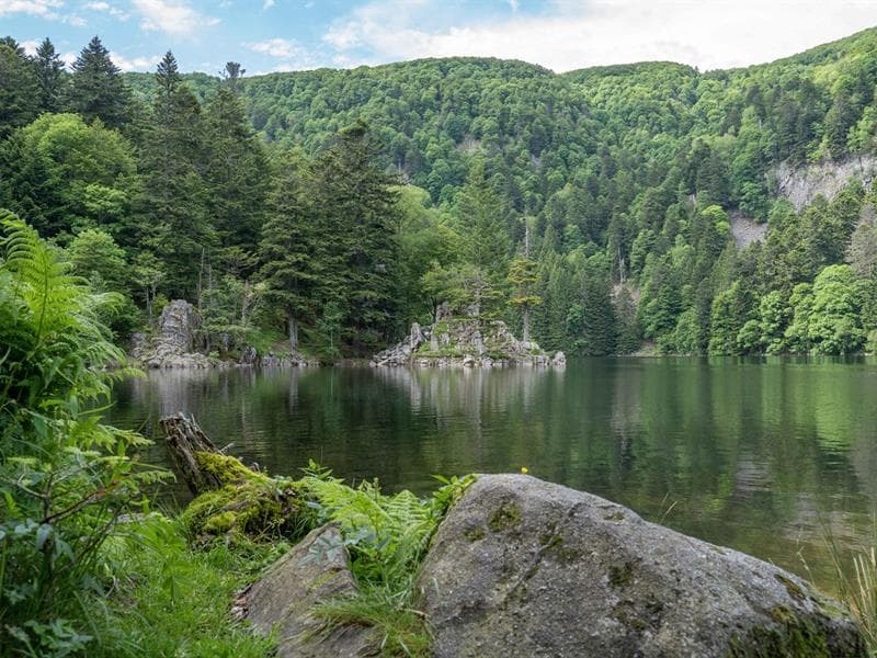 Lac de l'Altenweiher