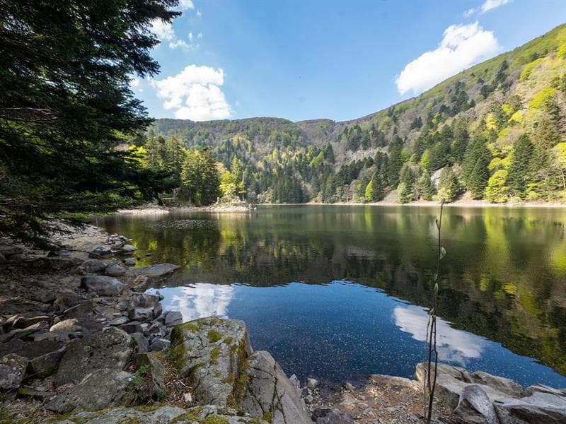 Lac de l'Altenweiher