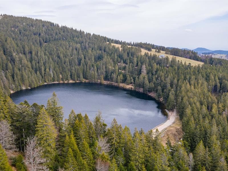 Lac Vert