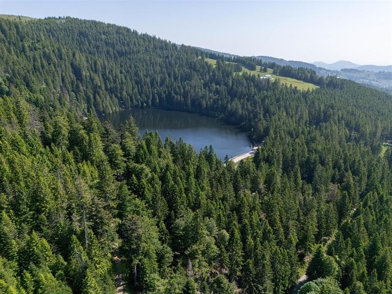 Lac Vert