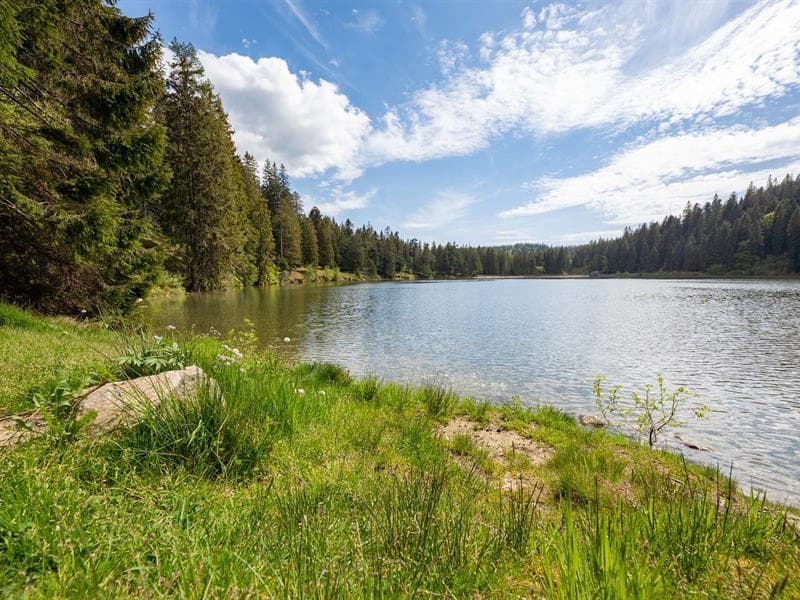 Lac Vert