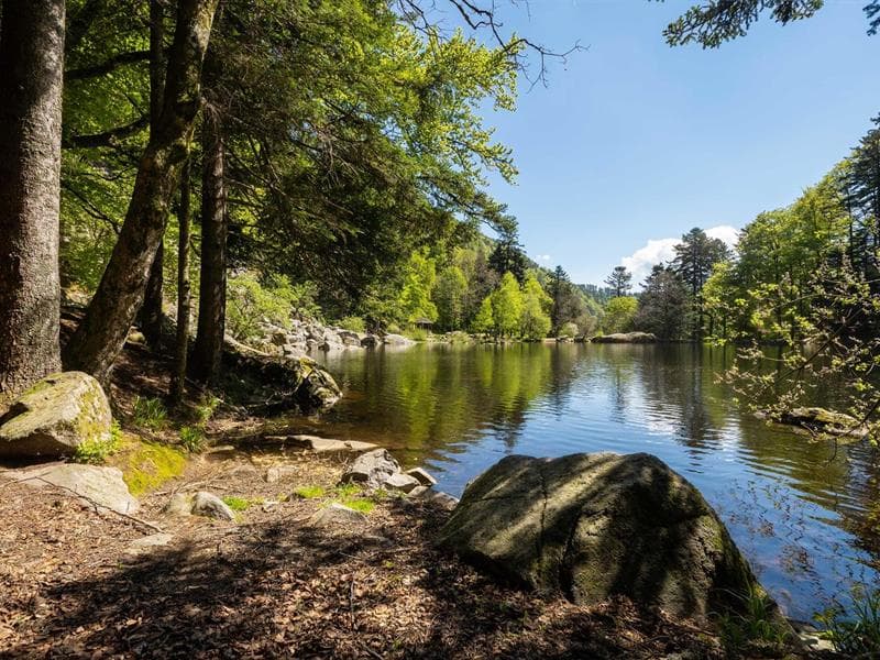 Lac du Fischboedle